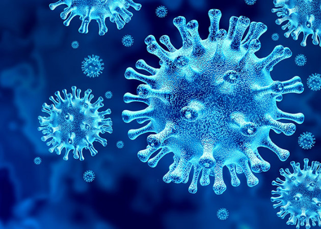 Coronavirus